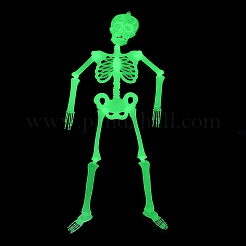 Luminous Plastic Skeleton Model&nbsp;LUMI-PW0006-47A
