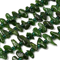 Natural Green Diopside Beads Strands&nbsp;G-L649-B01-01