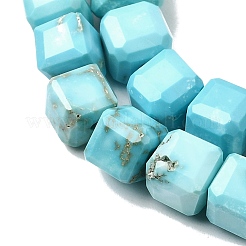Natural Howlite Bead Strands&nbsp;G-H345-C01-01