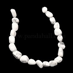 Natural Howlite Beads Strands&nbsp;G-C286-A20