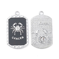 Alloy Twelve Constellations Series Big Pendants&nbsp;PALLOY-O107-01P-01