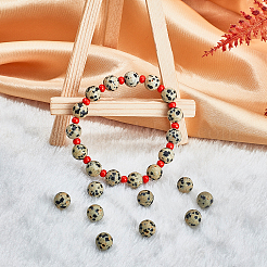 Natural Dalmatian Jasper Stone Bead Strands&nbsp;G-OC0001-56