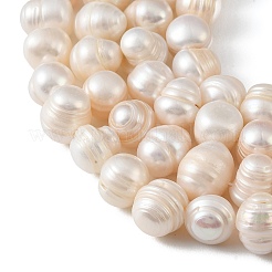Natural Cultured Freshwater Pearl Beads Strands&nbsp;PEAR-L034-18C