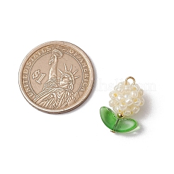 Glass Seed Beads Pendants&nbsp;PALLOY-MZ00592-01