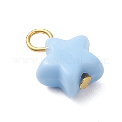 Opaque Acrylic Pendants&nbsp;PALLOY-JF04199-01