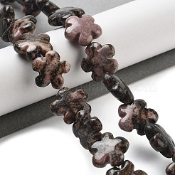Natural Rhodonite Beads Strands&nbsp;G-F769-S01-01