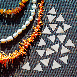 2 Strands Natural Freshwater Shell Beads Strands&nbsp;BSHE-BC0001-14