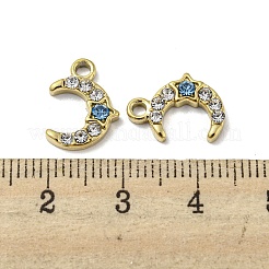 304 Stainless Steel Charms&nbsp;X-STAS-L022-060G-01