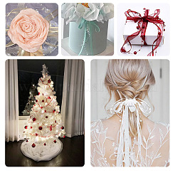 5M Polyester Lace Ribbon&nbsp;OCOR-TA0002-60A