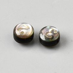 10Pcs 10 Styles Natural Black Lip Shell Flat Round Beads&nbsp;BSHE-WH0019-06B