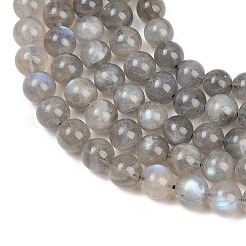 Natural Labradorite Beads Strands&nbsp;G-L654-O02-8mm
