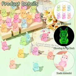 60Pcs 6 Colors Luminous Kangaroo Miniature Ornaments&nbsp;DJEW-CJZ0001-003