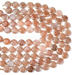 Natural Sunstone Beads Strands&nbsp;G-L654-N01-01