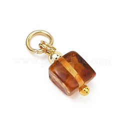 Natural Amber Pendants&nbsp;PALLOY-JF05273