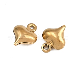 304 Stainless Steel Charms&nbsp;STAS-L297-09G
