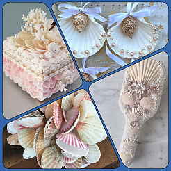 Natural Scallop Shell DIY Decorative Craft Material&nbsp;SHEL-SP0001-01B
