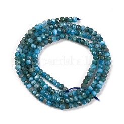 Natural Apatite Beads Strands&nbsp;G-F770-D09-02B