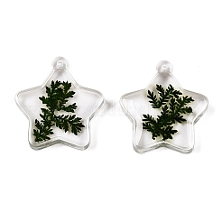 Epoxy Resin Pendants&nbsp;RESI-T058-02B