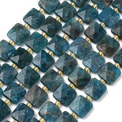 Natural Apatite Beads Strands&nbsp;G-L642-L10-10mm