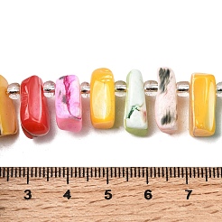 Dyed Natural Trochid Shell/Trochus Shell Beads Strands&nbsp;BSHE-A002-03B