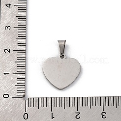 304 Stainless Steel Charms&nbsp;STAS-Z114-03P-01