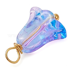 20Pcs Glass Beads Pendants&nbsp;PALLOY-JF03103