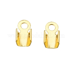 Iron Cord Ends&nbsp;IFIN-T021-01G