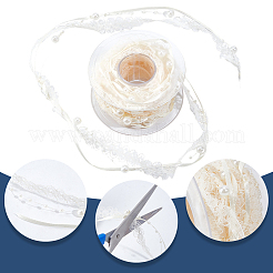 Polyester Lace Ribbon&nbsp;OCOR-GF0006-47A