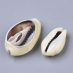 Natural Cowrie Shell Beads&nbsp;X-SSHEL-N034-28