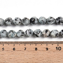 Dyed Natural Sesame Jasper Beads Strands&nbsp;G-T139-8mm-47J