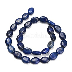 Dyed Natural Lapis Lazuli Beads Strands&nbsp;G-P610-A01-01