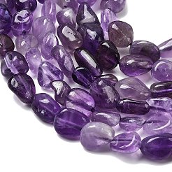 Natural Amethyst Beads Strands&nbsp;G-P601-A04-02