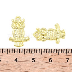 Rack Plating Alloy Pendants&nbsp;FIND-Q108-01G