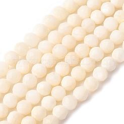 Shell Beads Strands&nbsp;SSHEL-E571-38-4mm-01