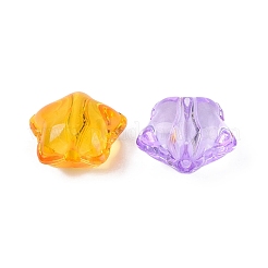 Transparent Acrylic Beads&nbsp;TACR-N020-09