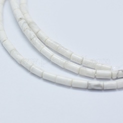 Natural Howlite Beads Strands&nbsp;G-F631-B08