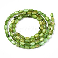 Freshwater Shell Beads Strands&nbsp;SHEL-T009-B15-04