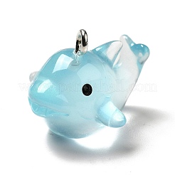 Luminous Translucent Resin Pendants&nbsp;RESI-A017-07
