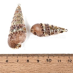 Electroplate Natural Spiral Shell Pendants&nbsp;SSHEL-Q100-33KCG