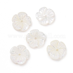 Natural Trochid Shell/Trochus Shell Beads&nbsp;SHEL-P014-02B