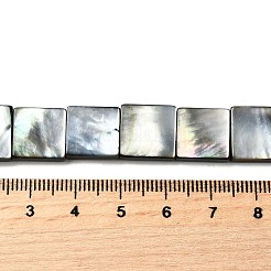 Natural Black Lip Shell Beads Strands&nbsp;BSHE-D300-07-12mm