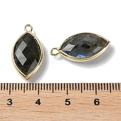 Natural Labradorite Pendants&nbsp;X-G-B009-01G-R