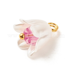 Spray Painted ABS Plastic Imitation Pearl Charms&nbsp;PALLOY-JF01603-04