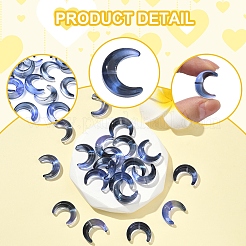 20Pcs Gradient Color Handmade Lampwork Beads&nbsp;LAMP-FS0001-18F
