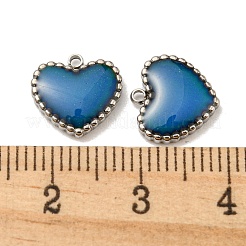 304 Stainless Steel Enamel Charms&nbsp;STAS-L022-094P