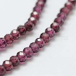 Natural Garnet Bead Strands&nbsp;G-P271-3mm-08