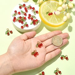 30Pcs Glass & Acrylic Beaded Charms&nbsp;PALLOY-CJ0003-03