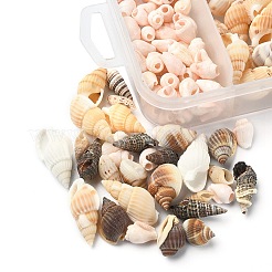 5 Styles Mixed Natural Shell Beads&nbsp;SSHEL-YW0001-04