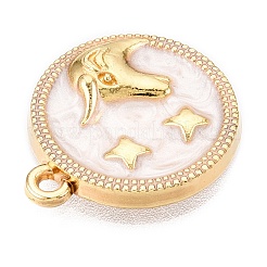 Alloy Enamel Pendants&nbsp;X1-ENAM-T021-03F