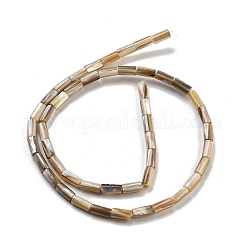 Natural Freshwater Shell Beads Strands&nbsp;BSHE-G038-02